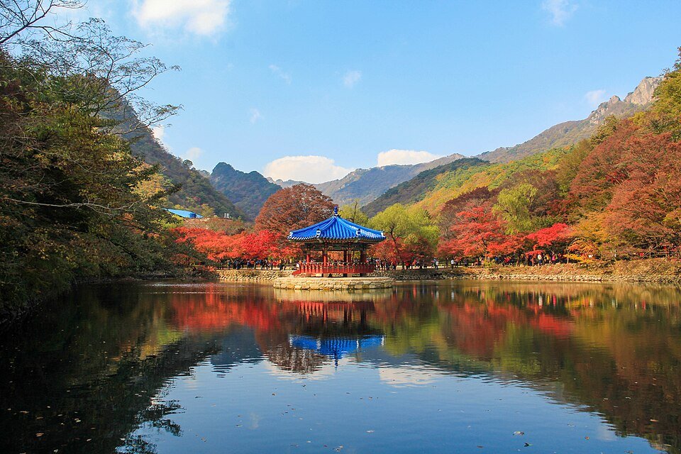 2026 단풍 절정 예상일 나왔어요|설악산·속리산·내장산·한라산 여행 날짜 잡는 법
